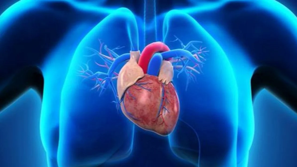 LVAD terkecil jadi alternatif baru bagi perawatan gagal jantung