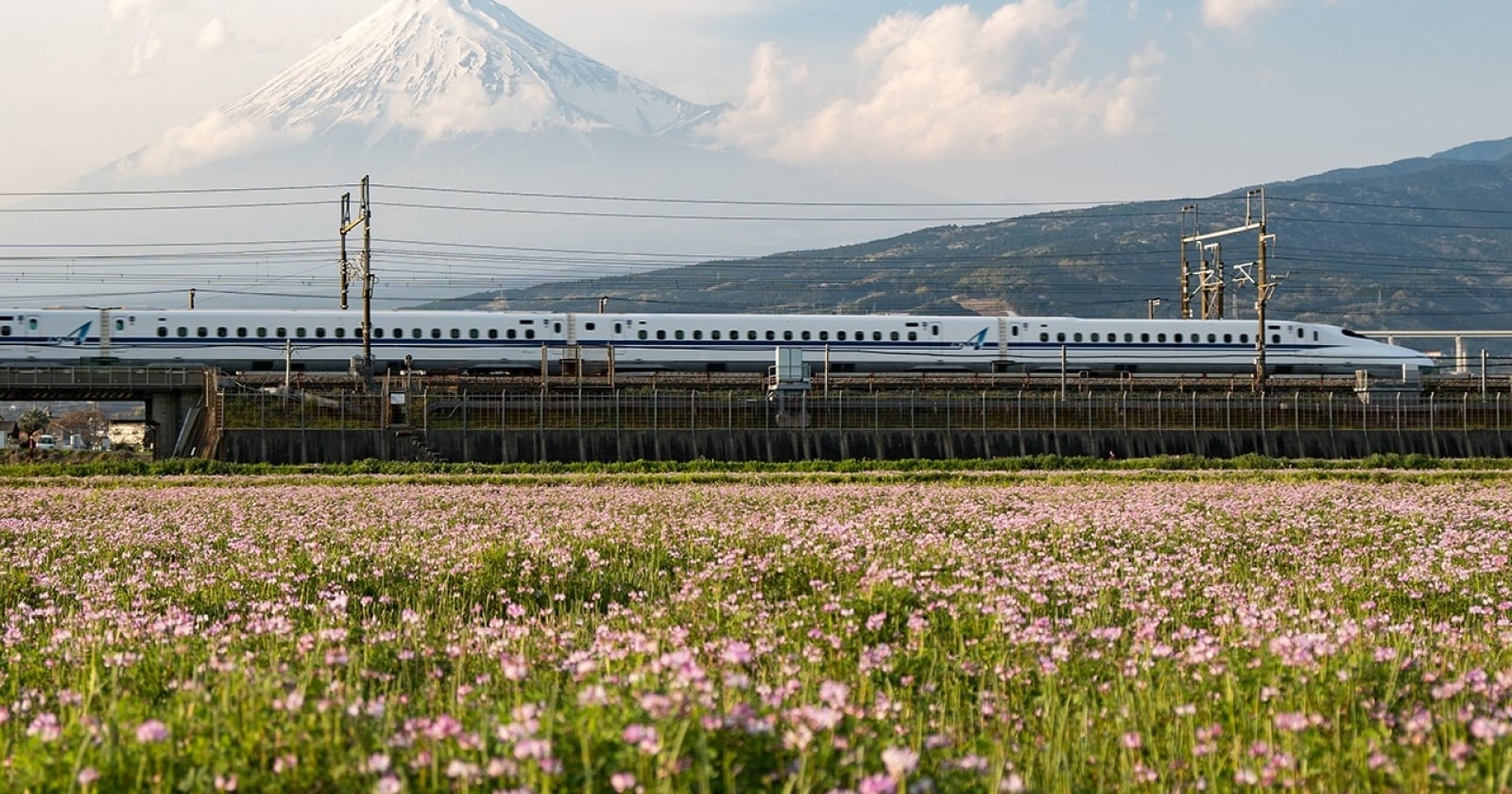 Panduan Memesan Tiket Shinkansen dari Indonesia: Langkah, Pilihan Kursi, dan Rute Favorit Wisatawan